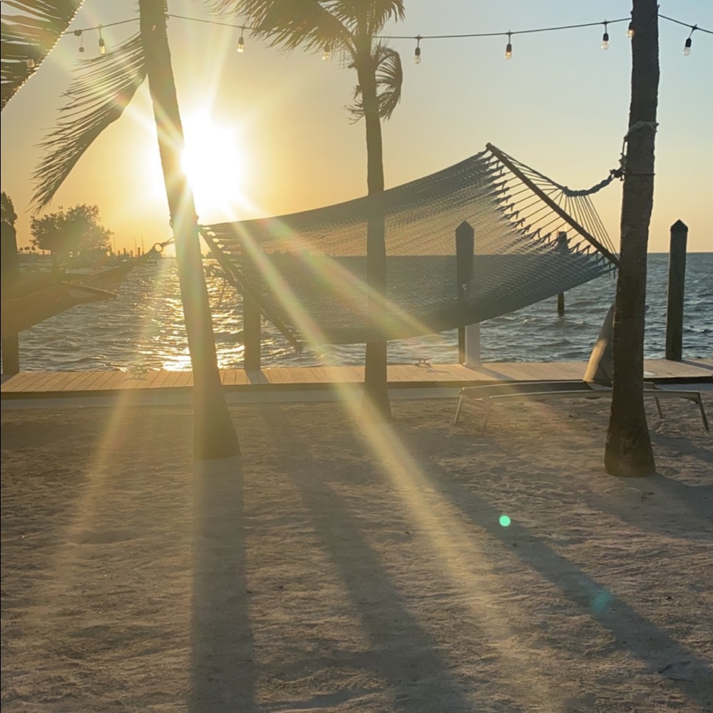 Meet your Posher, Molly